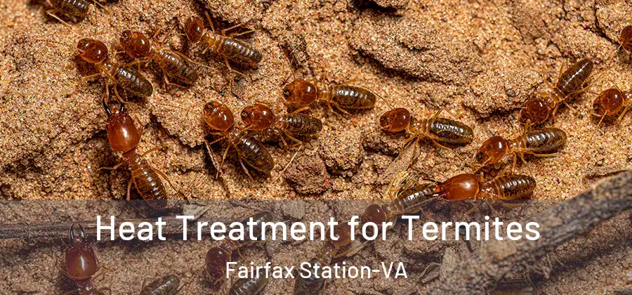  Heat Treatment for Termites Fairfax Station-VA