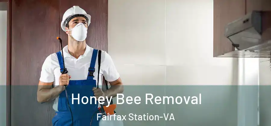 Honey Bee Removal Fairfax Station-VA
