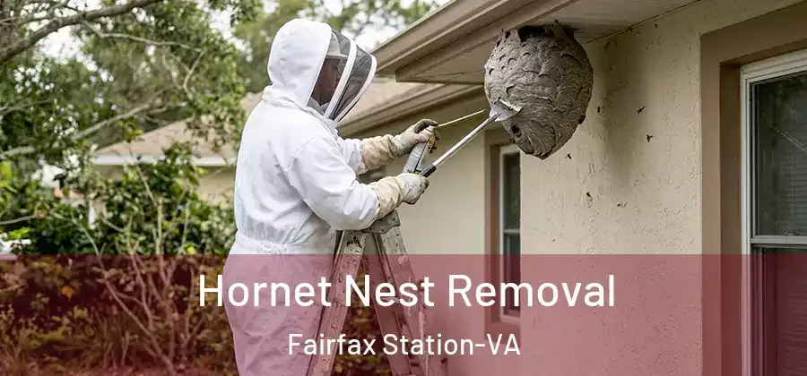 Hornet Nest Removal Fairfax Station-VA