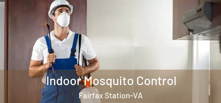 Indoor Mosquito Control Fairfax Station-VA