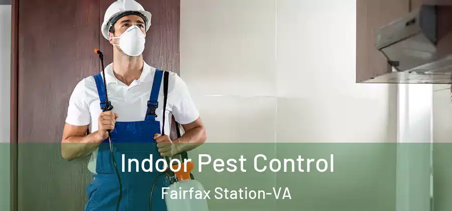 Indoor Pest Control Fairfax Station-VA