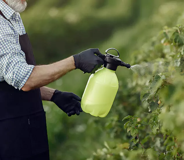 Your Proven Mosquito Treatment Company in Fairfax Station, VA