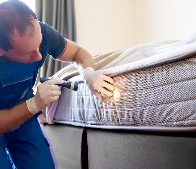 Trusted Bed Bug Cost Experts in Fairfax Station, VA