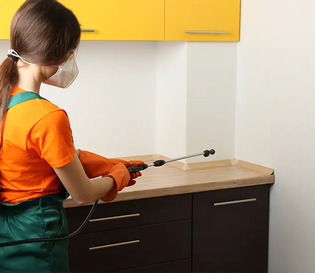 Trusted Bed Bug Pest Control Specialist in Fairfax Station, VA