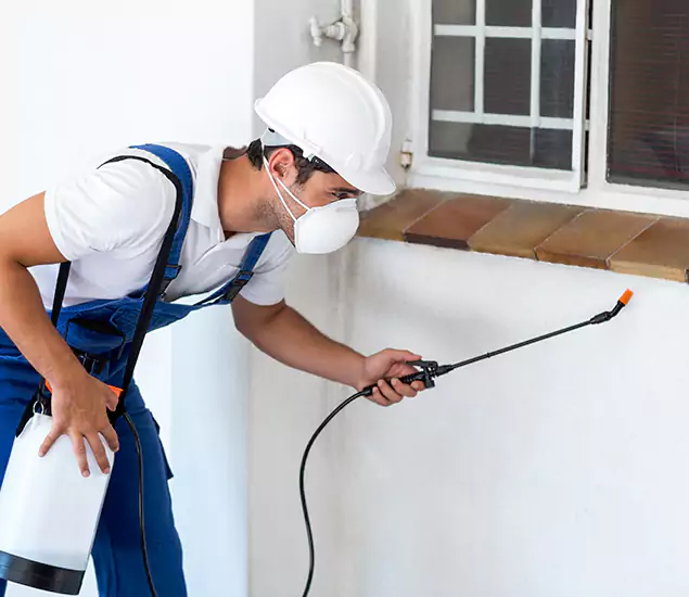 Your Professional Cockroach Exterminator in Fairfax Station, VA
