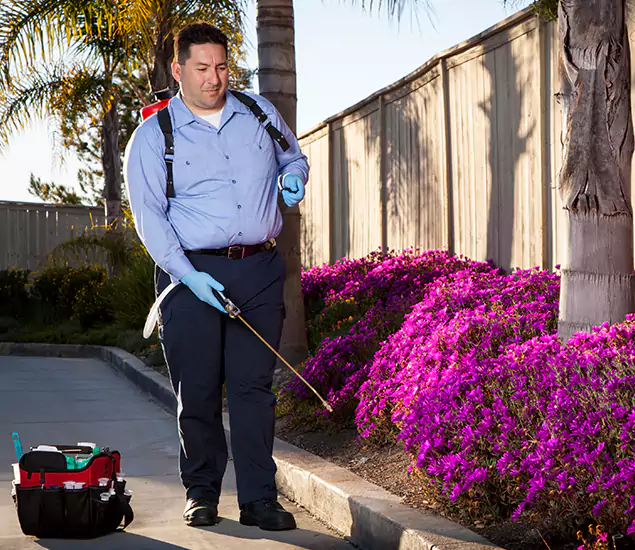 About Our Eco Safe Pest Control Experts in Fairfax Station, VA