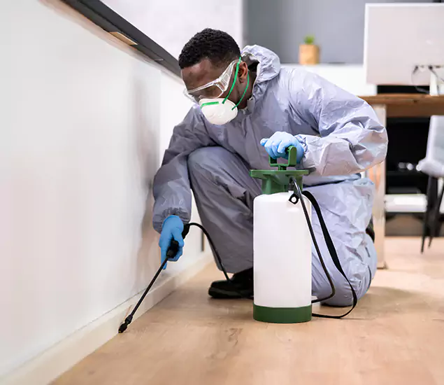Leading Industrial Pest Control Experts Serving Fairfax Station, VA