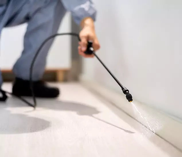 About Our Liquid Termite Treatment Experts in Fairfax Station, VA