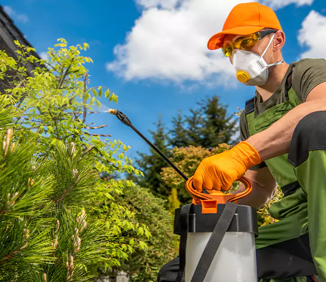 Your Mosquito Repellent Barrier Service in Fairfax Station, VA