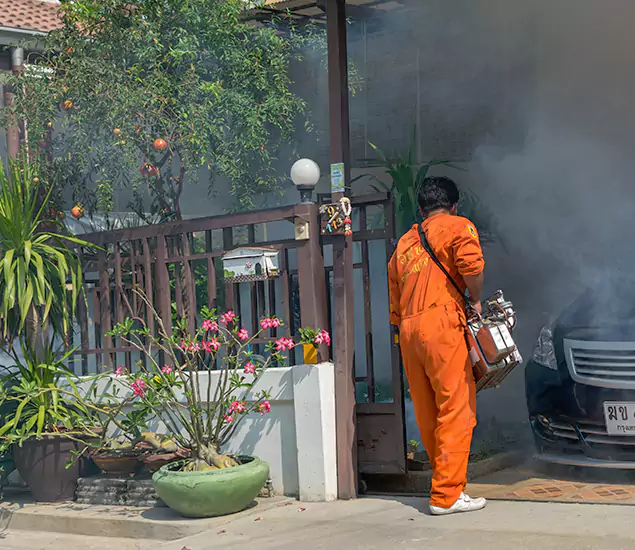 Your Proven Mosquito Fogging Company in Fairfax Station, VA