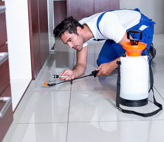 Reliable Professional Mouse Removal: Your Best Mouse Control Company in Fairfax Station, VA