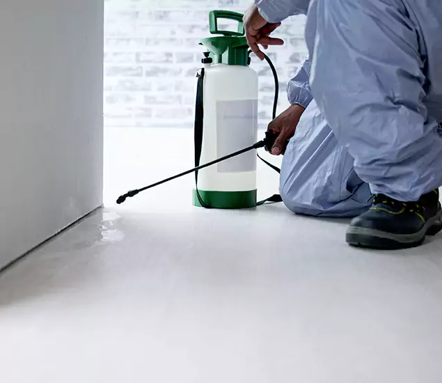 Affordable Pest Control Experts in Fairfax Station, VA