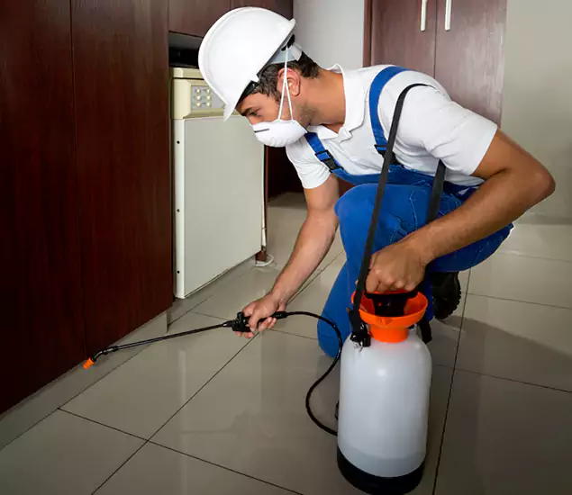 Advanced Termite Pre Treatment Experts in Fairfax Station, VA