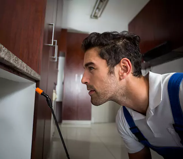 Expert Rodent in Attic Removal: Your Proven Pest Specialists in Fairfax Station, VA