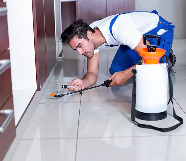 Advanced Slab Termite Treatment Experts You Can Trust&nbsp;in Fairfax Station, VA