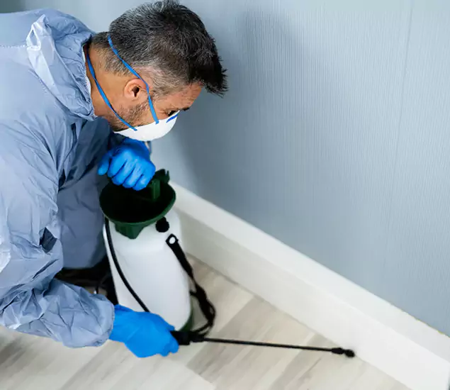 Reliable Termite Cost Experts in Fairfax Station, VA