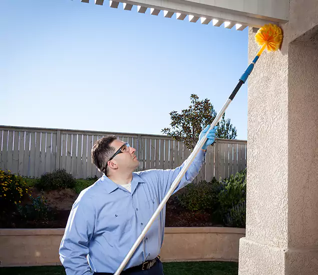 Your Trusted Wasp Removal Company in Fairfax Station, VA