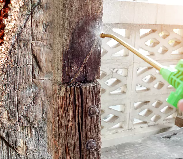 About Wood Termite Treatment Services in Fairfax Station, VA