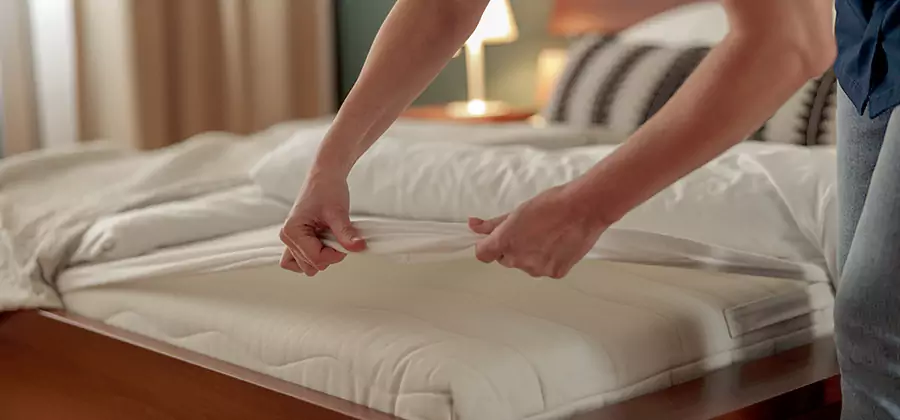 Bed Bug Extermination Services in Fairfax Station