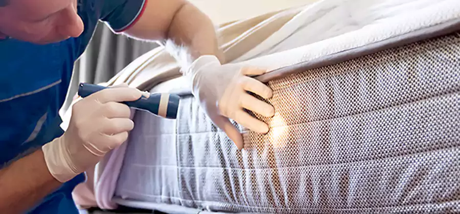 Residential Bed Bug Treatment Cost in Fairfax Station