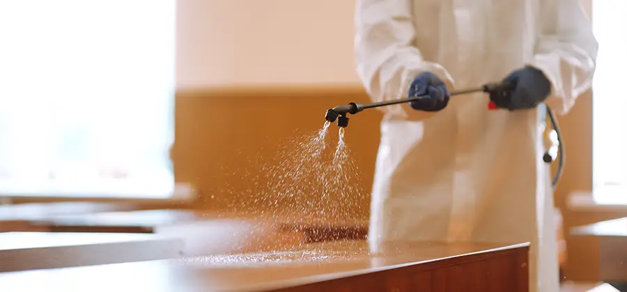 Residential Bed Bug Treatment Option in Fairfax Station