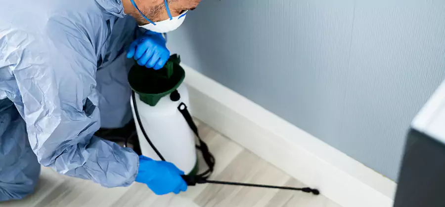 Fumigate Apartment Roaches in Fairfax Station