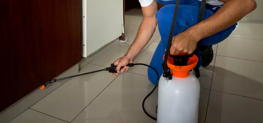 Indoor Mosquito Treatment in Fairfax Station