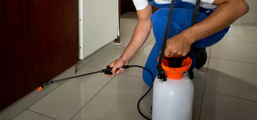 Indoor Insect Killer Solutions in Fairfax Station