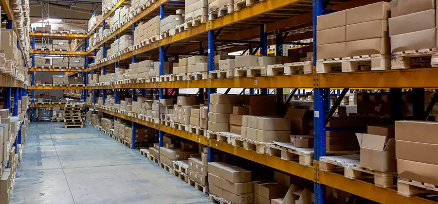 Warehouse Pest Control in Fairfax Station