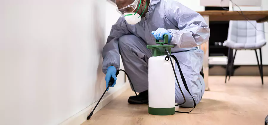 Long Lasting Mosquito Treatment in Fairfax Station
