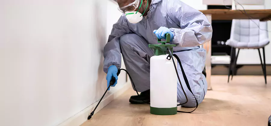 No Tent Termite Extermination With Electric Tool in Fairfax Station