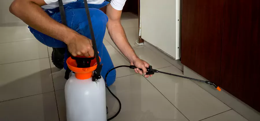 One Time Termite Control in Fairfax Station