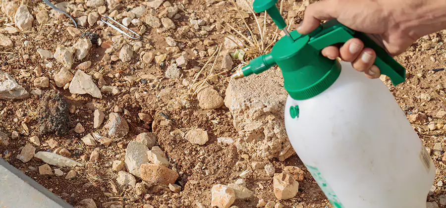 Heat Treatment Termite Cost in Fairfax Station