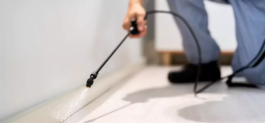 Direct Termite Injection Treatment in Fairfax Station