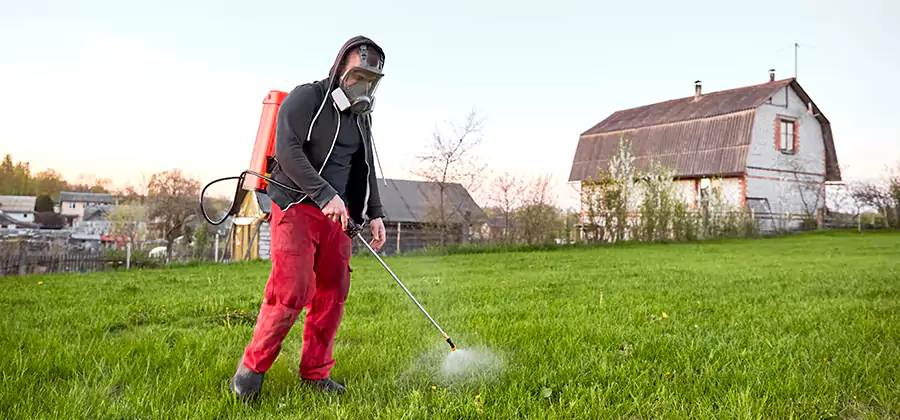 Flea and Tick Pest Control in Fairfax Station