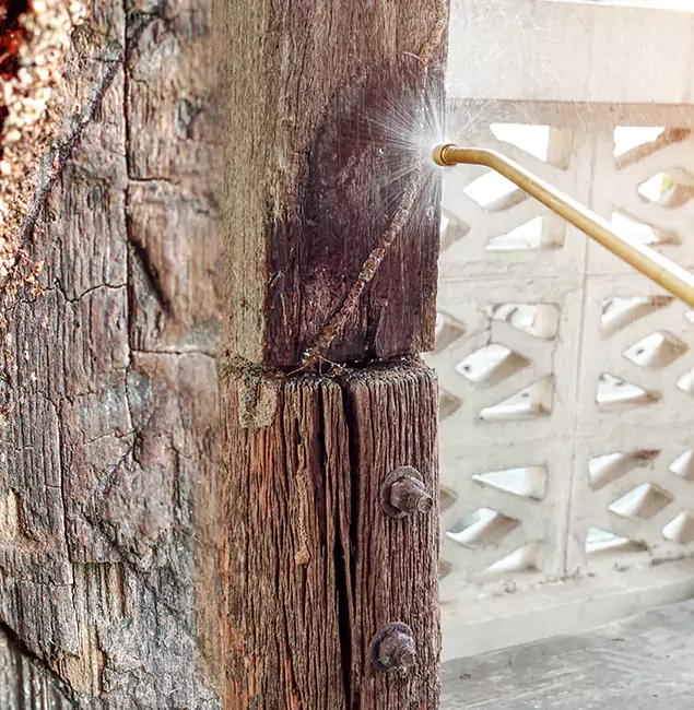 Why Choose Fairfax Station Pest Control Pro for Attic Termite Treatment in Fairfax Station, VA?