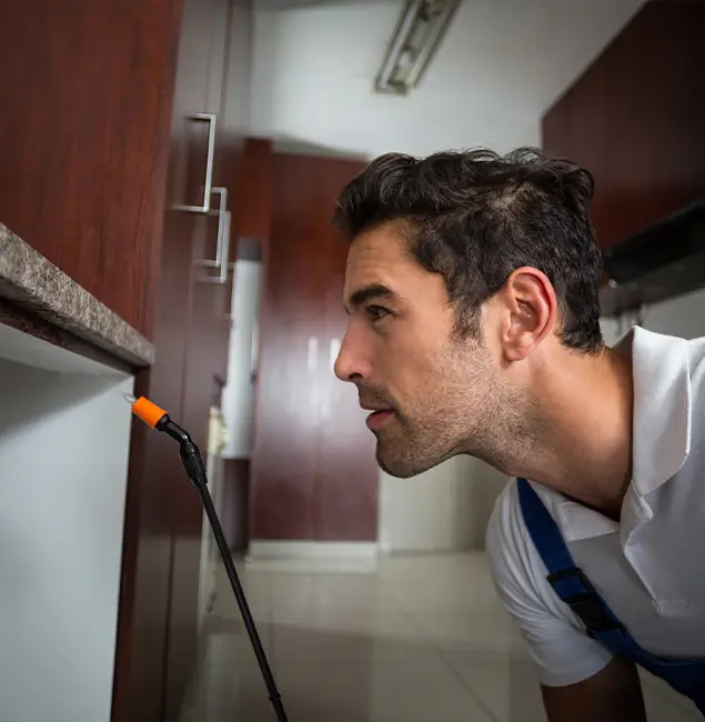 Why Choose Fairfax Station Pest Control Pro for Bed Bug Removal Cost in Fairfax Station, VA?
