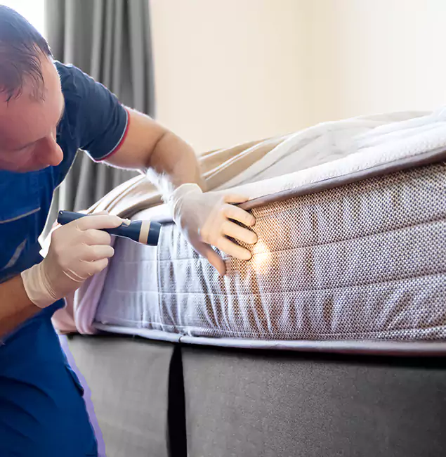Why Choose Fairfax Station Pest Control Pro for Bed Bug Services in Fairfax Station, VA?