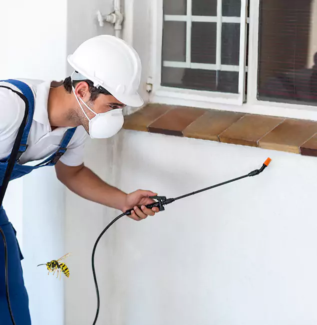 Why Fairfax Station Property Owners Choose Fairfax Station Pest Control Pro for Bee Nest Removal?