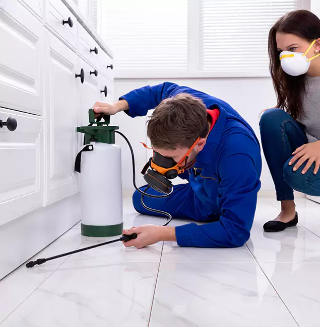 Why Choose Fairfax Station Pest Control Pro in Fairfax Station, VA?