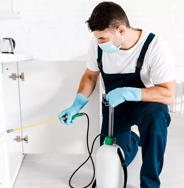 Why Choose Fairfax Station Pest Control Pro for Emergency Pest Control in Fairfax Station?