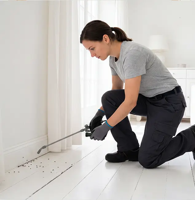 Why Fairfax Station, VA Property Owners Trust Fairfax Station Pest Control Pro for Fire Ant Control?