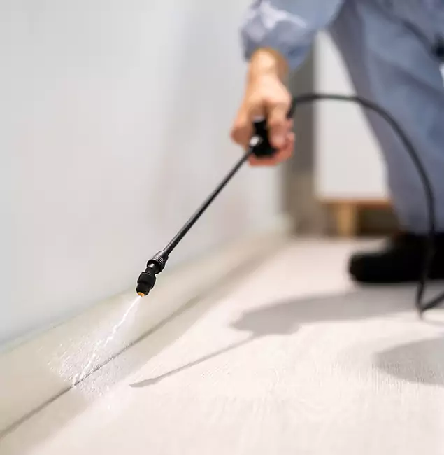 Why Choose Fairfax Station Pest Control Pro for Termite Treatment in Fairfax Station, VA?