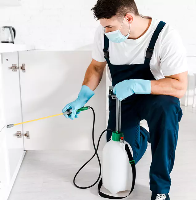 Why Choose Fairfax Station Pest Control Pro for Indoor Pest Control in Fairfax Station, VA?