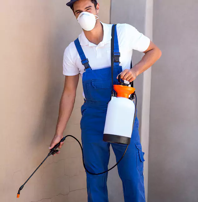 What Makes Fairfax Station Pest Control Pro the Right Choice in Fairfax Station, VA?