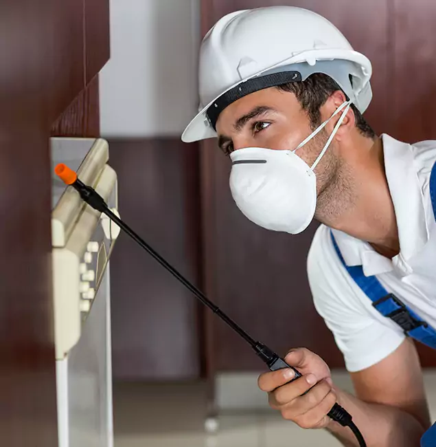 Why Fairfax Station Homeowners Rely on Fairfax Station Pest Control Pro for Tick Treatment?