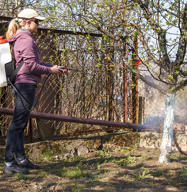 Why Fairfax Station Homeowners Choose Fairfax Station Pest Control Pro for Mosquito Abatement?