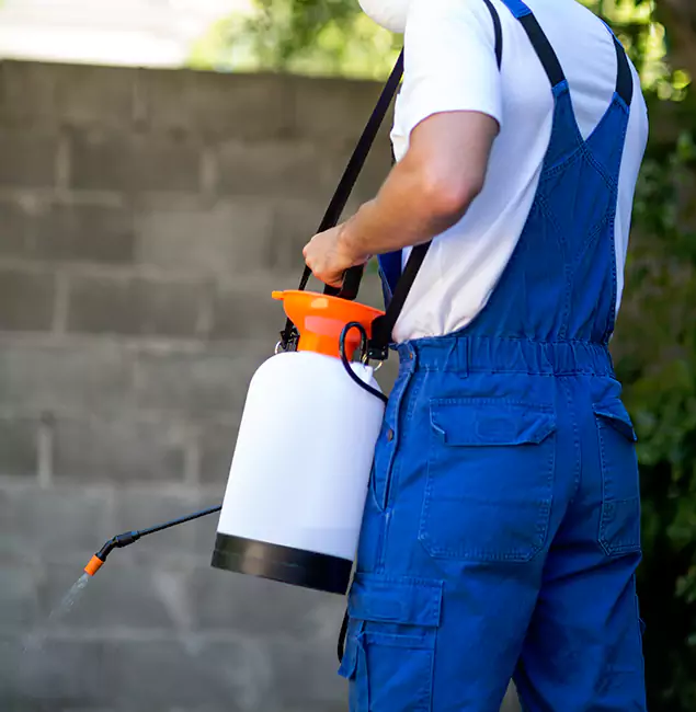 Why Fairfax Station Homeowners Rely on Fairfax Station Pest Control Pro for Mosquito Control?