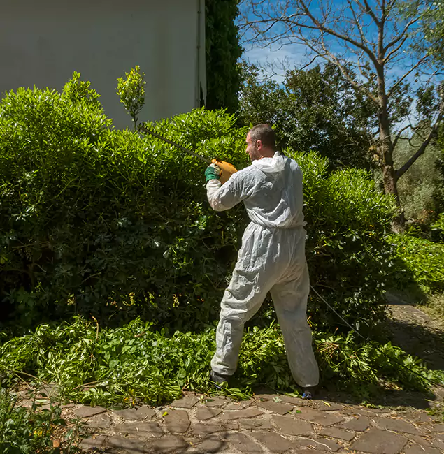 Why Fairfax Station Pest Control Pro Leads Mosquito Control in Fairfax Station, VA?