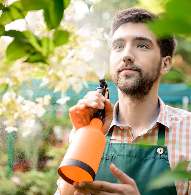 Why Fairfax Station Pest Control Pro Is the Best Mosquito Control Company in Fairfax Station, VA?